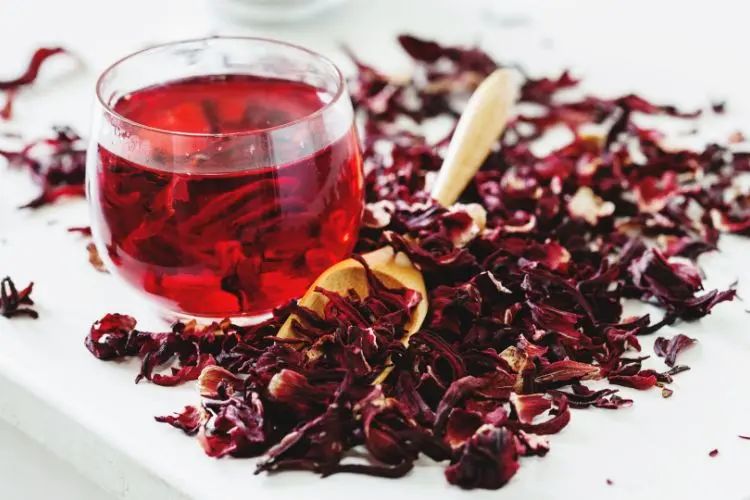 Chá de hibisco para infecção urinária em xícara transparente e hibiscos secos espalhados