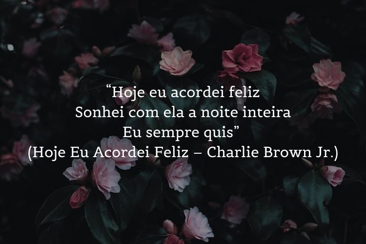 Foto de flores rosas e frase “Hoje eu acordei feliz / Sonhei com ela a noite inteira / Eu sempre quis” (Hoje Eu Acordei Feliz – Charlie Brown Jr.)