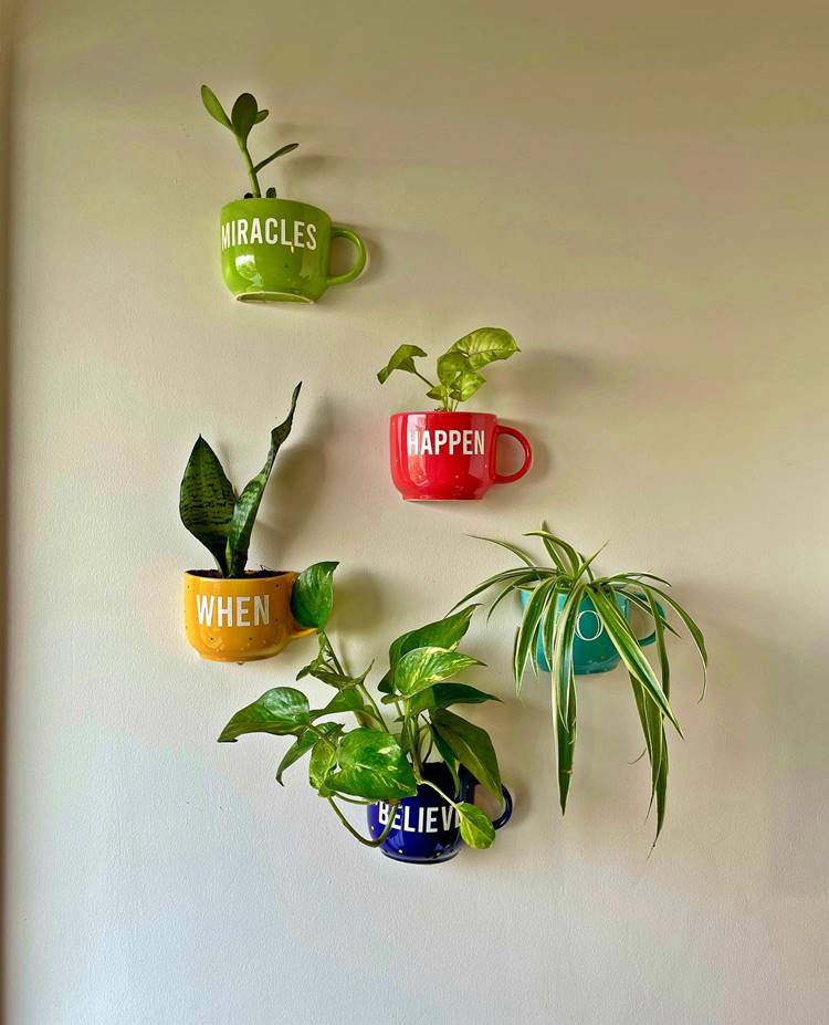 Jardim suspenso com canecas penduradas na parede com plantas, como jiboia e espada de são jorge