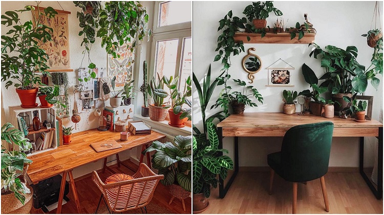 dois escritórios decorados com selva urbana, ambos com mesa de madeira