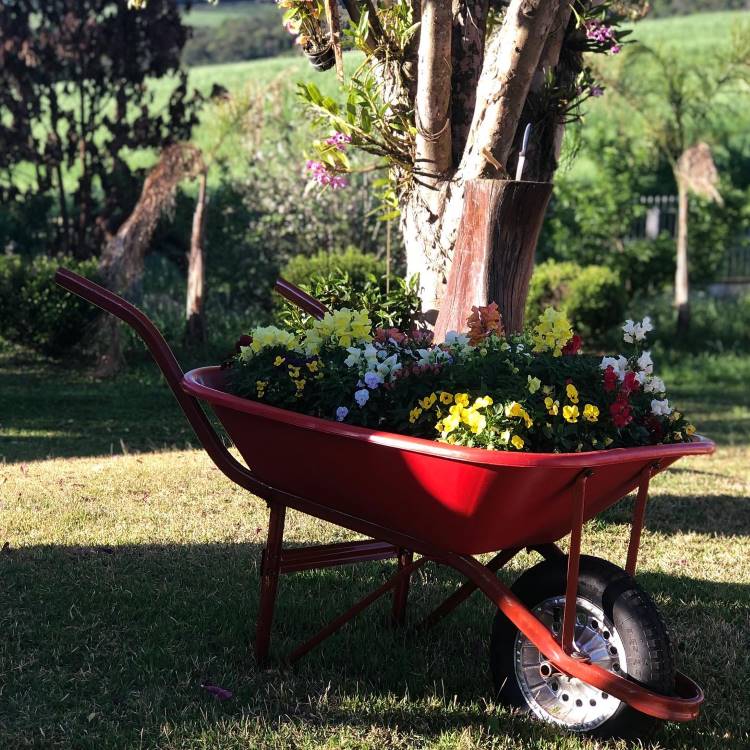 Carrinho de mão vermelho no gramado, usado como vaso para flores coloridas, incluindo amarelas, brancas, vermelhas e lilases. Árvores e vegetação ao fundo criam um ambiente de jardim com atmosfera rústica e acolhedora em dia ensolarado.