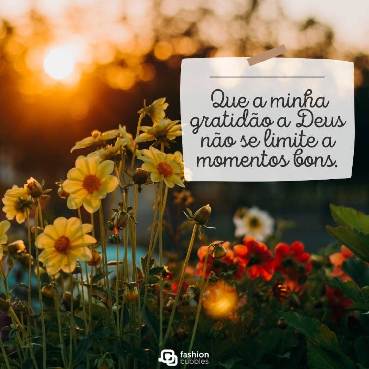 Que a minha gratidão a Deus não se limite a momentos bons. Cartão virtual com foto de jardim e papel com frase "Que a minha gratidão a Deus não se limite a momentos bons."