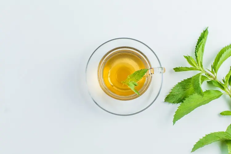 Foto de infusão de hortelã em xícara de vidro