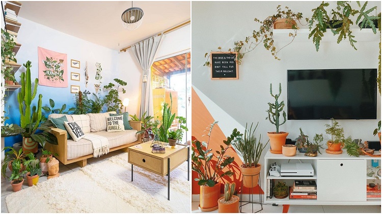 Montagem com duas salas com paredes coloridas e selva urbana