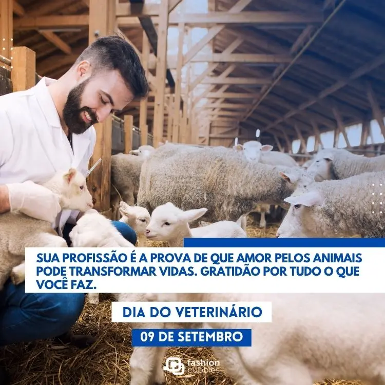 Foto de veterinário cuidando de ovelhas e frase: Sua profissão é a prova de que amor pelos animais pode transformar vidas. Gratidão por tudo o que você faz.