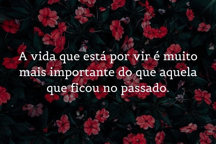 frases de reflexão sobre a vida para compartilhar