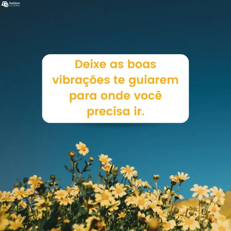 Foto de céu azul e flores amarelas, além de frase "Deixe as boas vibrações te guiarem para onde você precisa ir." na cor amarela dentro de retângulo branco 