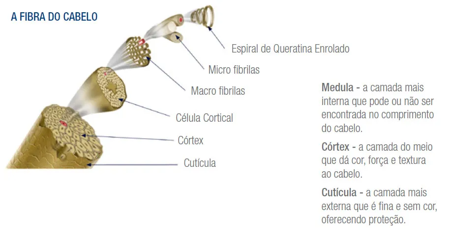 A fibra do cabelo.