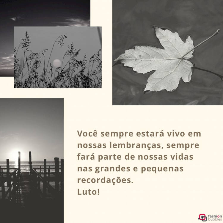 Mensagem para compartilhar: Você sempre estará vivo em nossas lembranças, sempre fará parte de nossas vidas nas grandes e pequenas recordações. Luto! Frase "Você sempre estará vivo em nossas lembranças, sempre fará parte de nossas vidas nas grandes e pequenas recordações. Luto!"ao lado de fotos em preto e branco de folhas e do mar