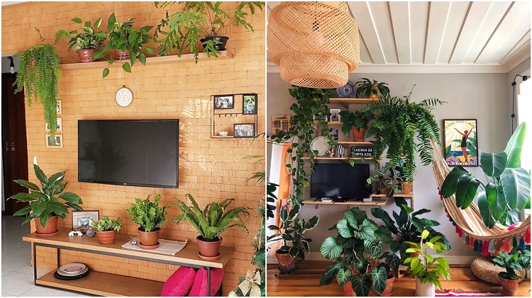 Montagem com duas fotos: uma de sala com parede de tijolos à vista, TV, rack decorado com plantas e prateleira com planta; outra com sala de parede cinza com rede e rack com plantas