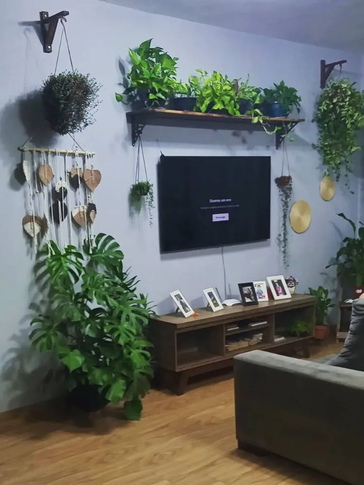 Sala com parede azulada, televisão, móvel e madeira com porta-retratos em cima, sofá cinza e diversas plantas. Entre elas, a costela-de-adão separando a sala de 2 ambientes. 