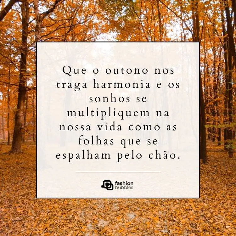 Foto de paisagem de outono e quadrado branco com frase: Que o outono nos traga harmonia e os sonhos se multipliquem na nossa vida como as folhas que se espalham pelo chão.