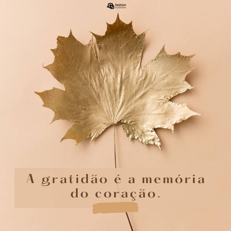 Frase de gratidão