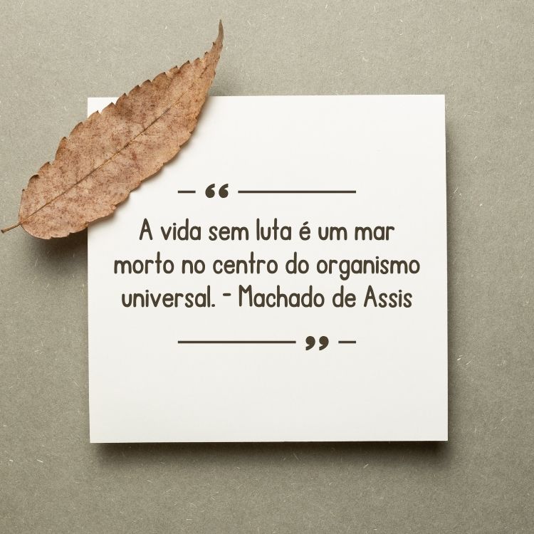 Fundo cinza com papel branco e folha marrom, com a frase A vida sem luta é um mar morto no centro do organismo universal.” - Machado de Assis