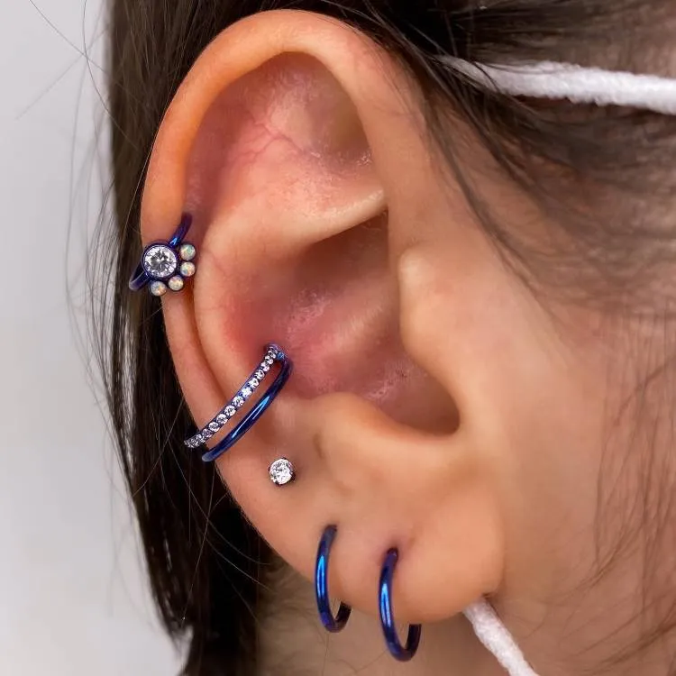 Projeto auricular anodizado em azul, com piercing na argola no hélix, argola no conch e argolas no lóbulo.