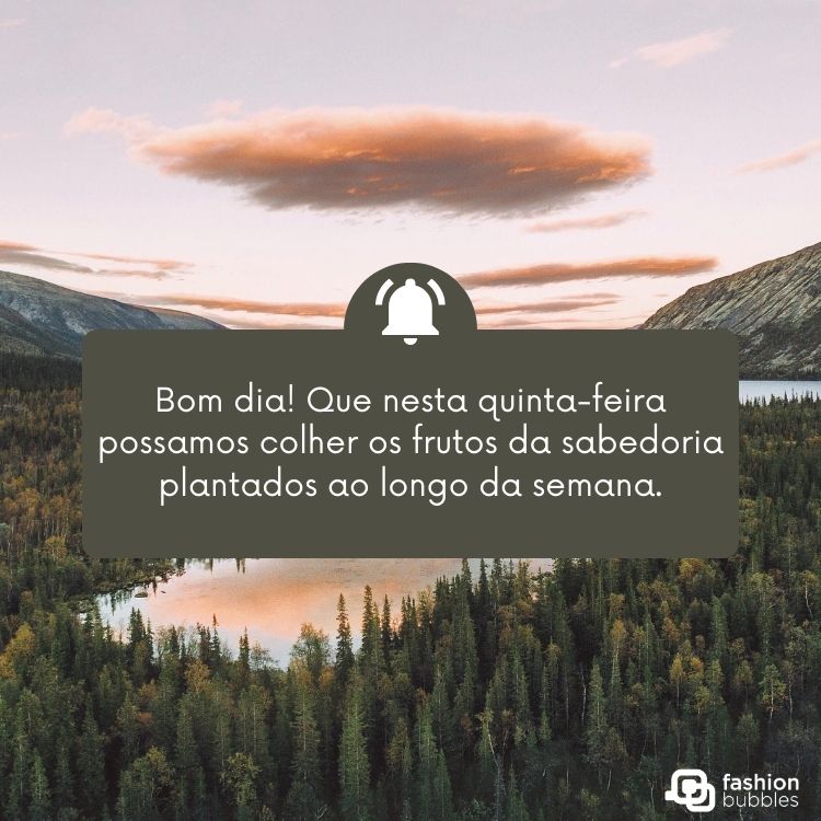 Foto de paisagem de floresta com céu claro e frase "Bom dia! Que nesta quinta-feira possamos colher os frutos da sabedoria plantados ao longo da semana."