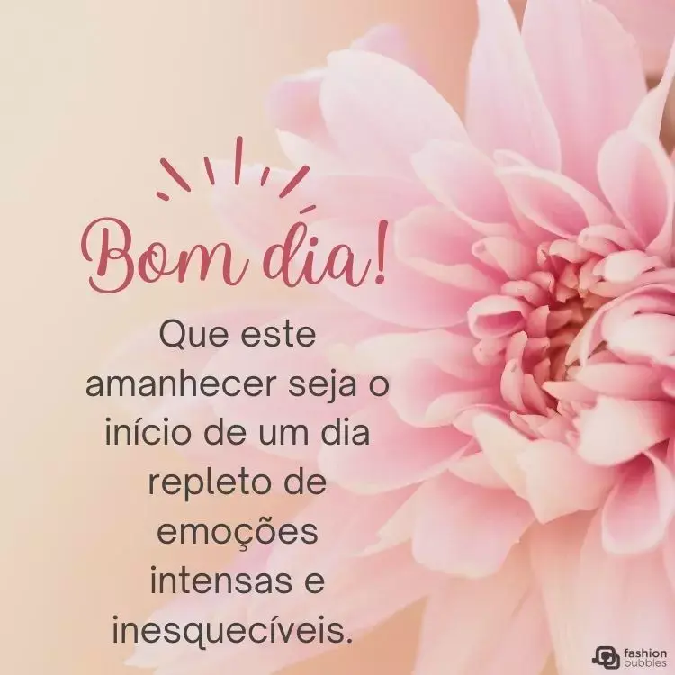 Foto de flor rosa com frase: Que este amanhecer seja o início de um dia repleto de emoções intensas e inesquecíveis. Bom dia emocionante!