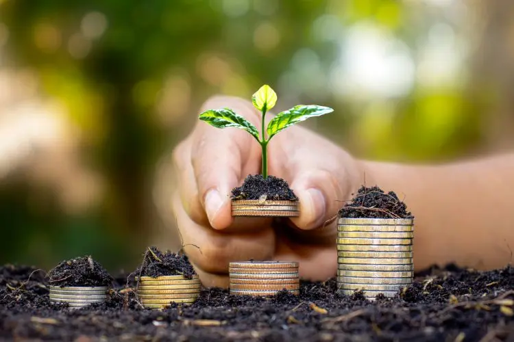 Uma mão segura uma pilha de moedas com uma planta verde crescendo no topo, simbolizando crescimento financeiro. Pilhas de moedas menores estão ao redor, todas sobre solo fértil. O fundo desfocado verde sugere um ambiente natural e sustentável - investir com pouco dinheiro