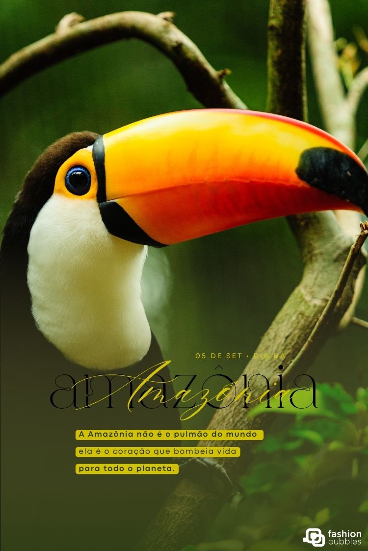 Um tucano de bico grande em close-up, com seu bico vibrante laranja e amarelo, olhos azuis e penas brancas e pretas. Ele está empoleirado em um galho. O texto sobreposto celebra a Amazônia como "o coração que bombeia vida para todo o planeta."