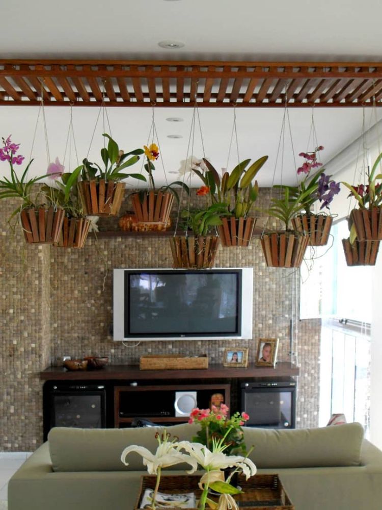 Sala de TV com rack, sofá e plantas penduradas do teto 