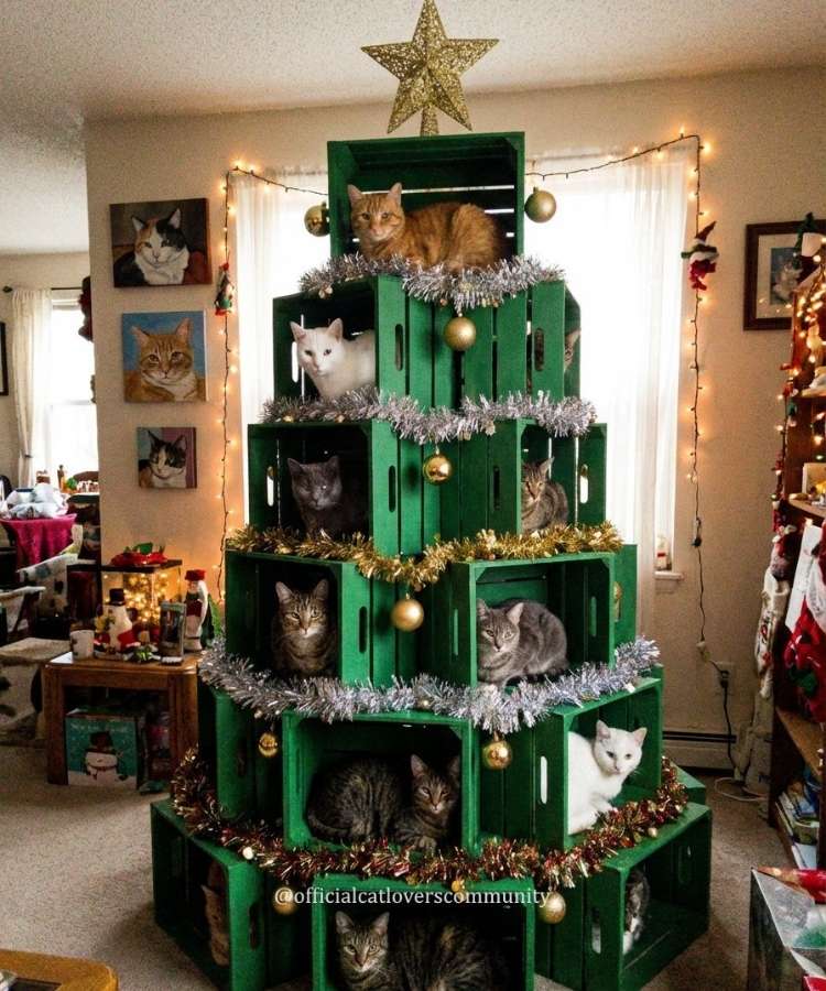 Árvore de Natal para gatos feita com caixotes de madeira