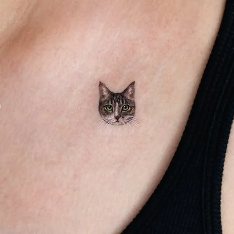 Tatuagem realista de gato em clavícula 
