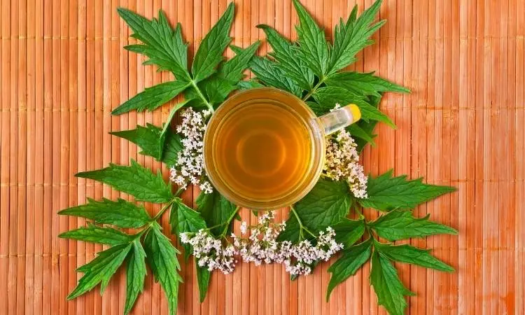 Chá de valeriana em xícara transparente com flores embaixo