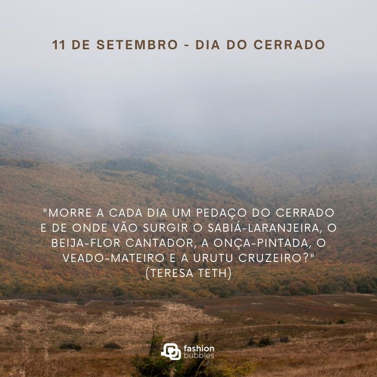 Paisagem do cerrado com frase:  "Morre a cada dia um pedaço do Cerrado e de onde vão surgir o sabiá-laranjeira, o beija-flor cantador, a onça-pintada, o veado-mateiro e a urutu cruzeiro?" (Teresa Teth)