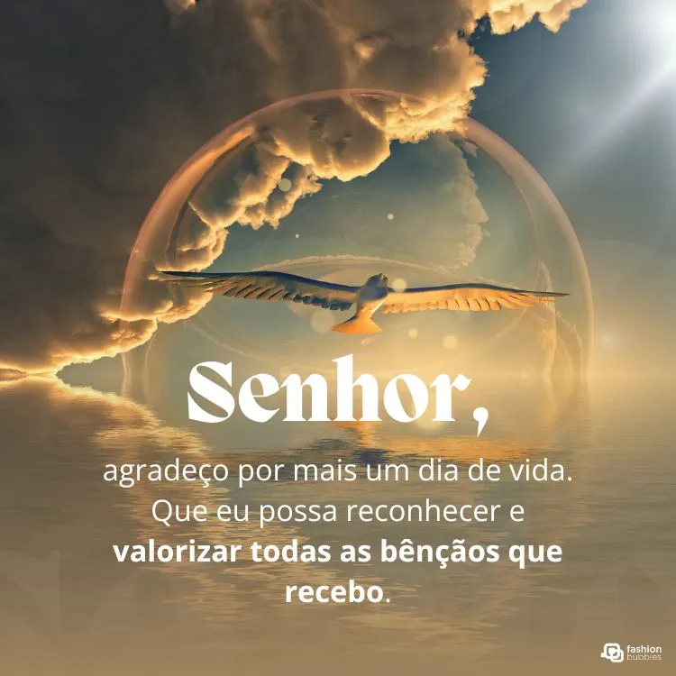 A imagem mostra uma ave voando em direção ao horizonte, com nuvens douradas e um céu azul ao fundo. O texto diz: "Senhor, agradeço por mais um dia de vida. Que eu possa reconhecer e valorizar todas as bênçãos que recebo." A cena transmite paz e gratidão.





