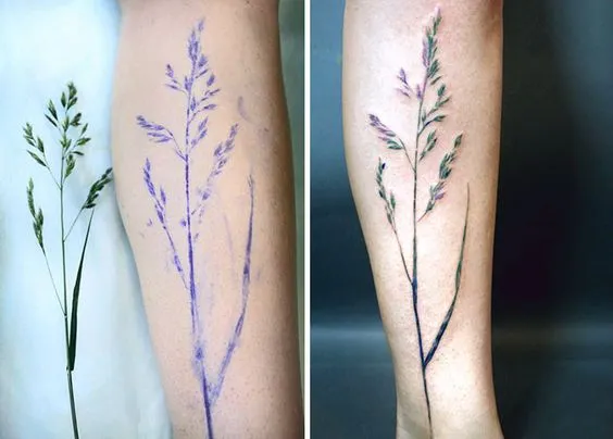 Tatuagem de ramo de trigo verde no braço