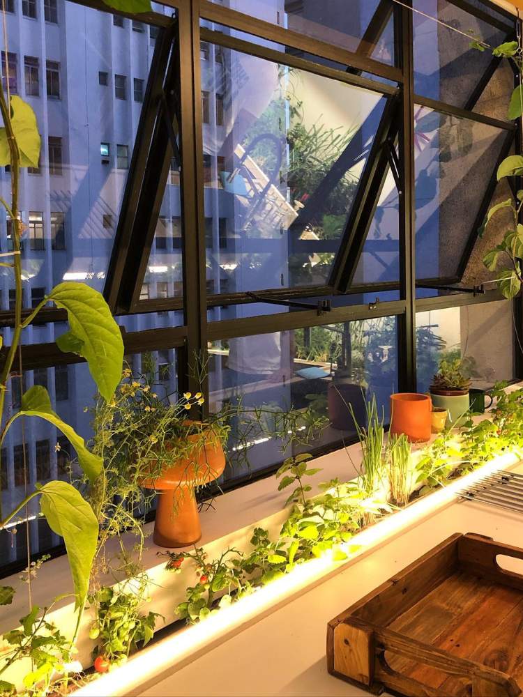 Horta iluminada em calha e parapeito da janela