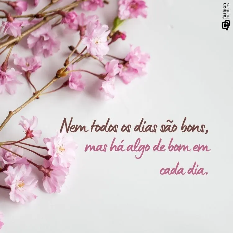 Galhos de cerejeira com flores rosas delicadas e vibrantes em um fundo branco. A imagem evoca a beleza e a positividade da natureza, acompanhada de uma frase sobre encontrar o bem em cada dia.