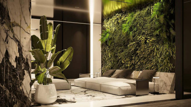 Parede com plantas atrás do sofá.