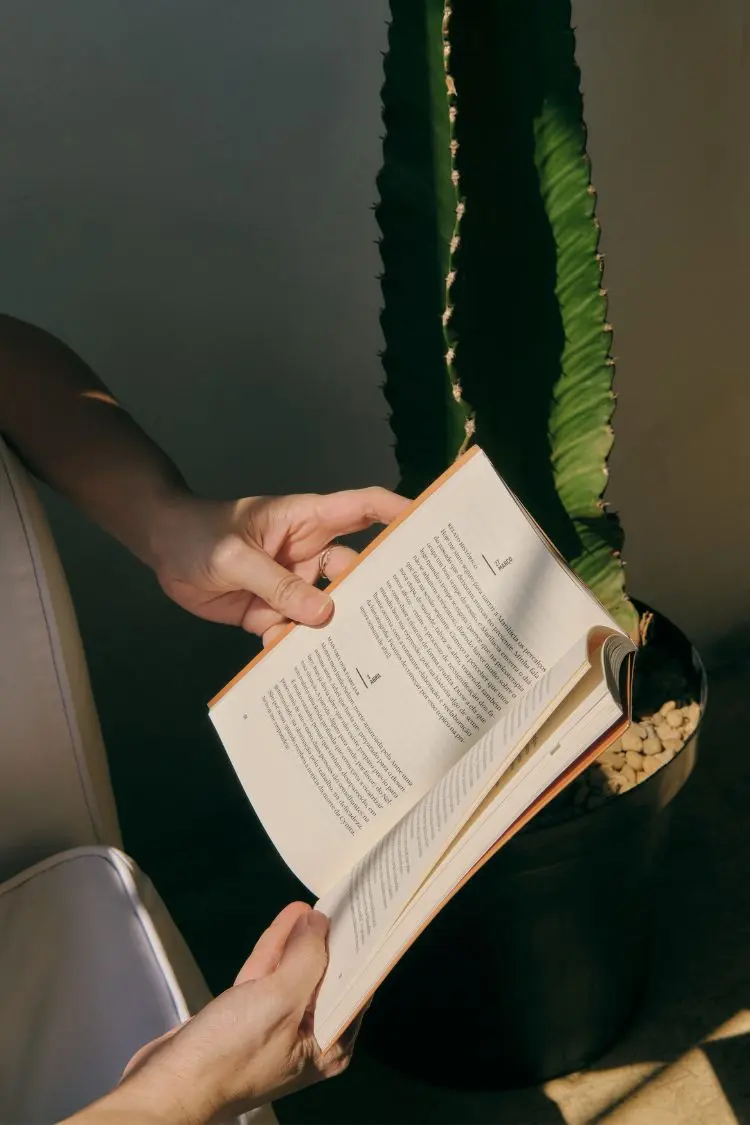 Duas mãos seguram um livro aberto, com texto visível nas páginas. Um grande cacto verde em vaso está ao fundo, parcialmente iluminado pela luz do sol. A imagem sugere um momento de leitura tranquila e focada.








