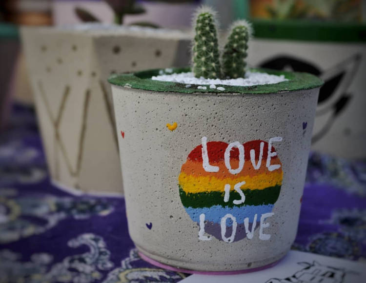 Mini cacto em vaso de argila com coração nas cores da bandeira LGBT e frase "love is love" em branco