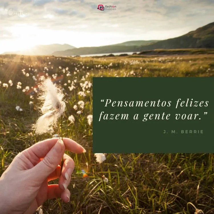 frase de pensamento feliz
