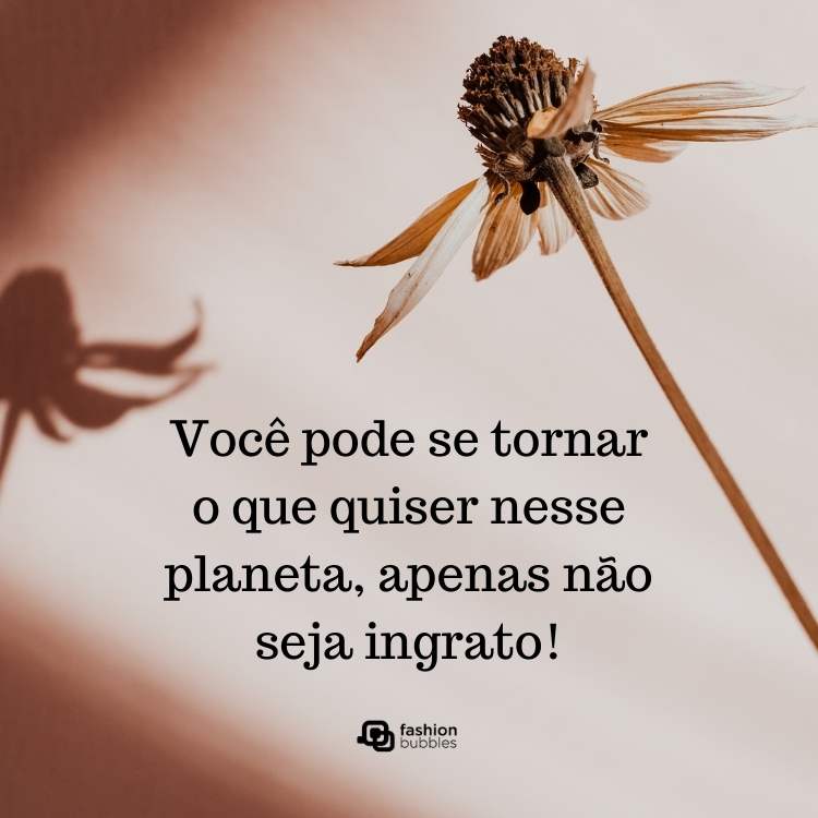 Mensagem sobre pessoa ingrata..