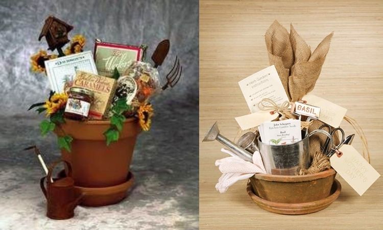 kit jardinagem