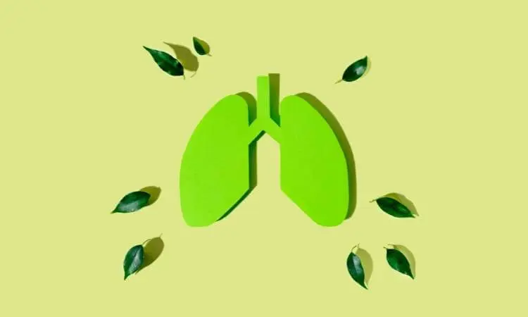 Pulmão com folhas. Fundo verde com desenho de pulmão.