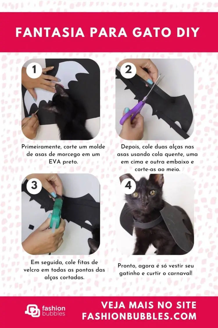Carnaval com pet: Fantasia para gato DIY.