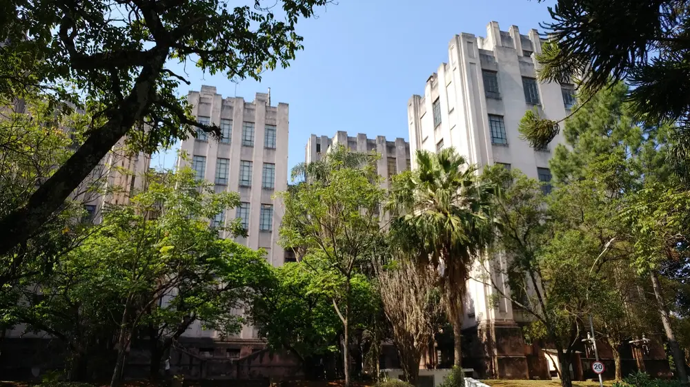Instito Biológico em SP - Foto do Guilherme Sausanavicius @gsausanavicius