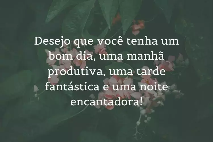 Foto de folhas verdes e flores rosas e frase: Desejo que você tenha um bom dia, uma manhã produtiva, uma tarde fantástica e uma noite encantadora