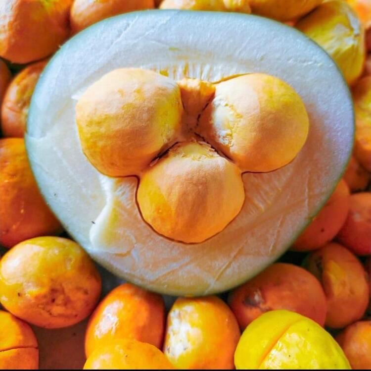 Fruta cortada ao meio.