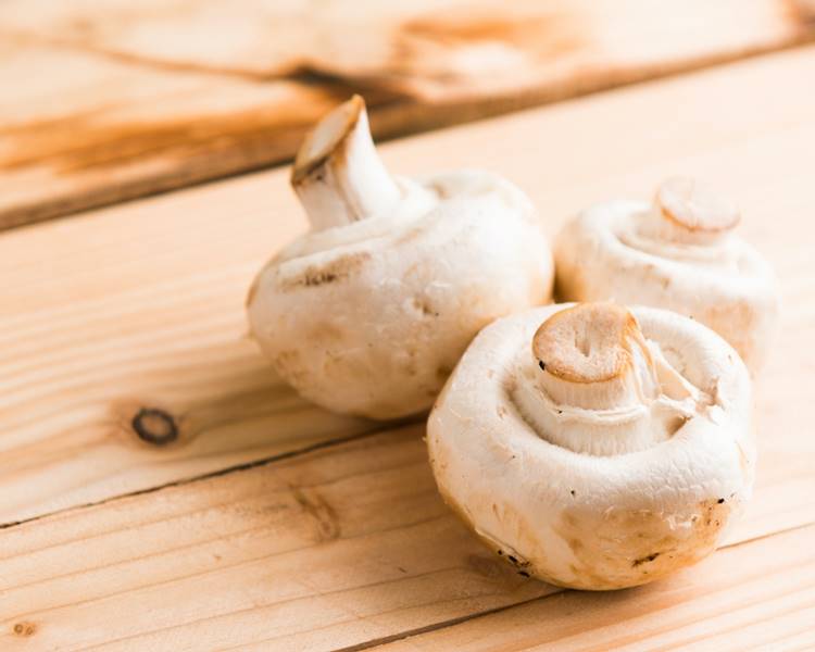 Foto de cogumelos do tipo champignon.