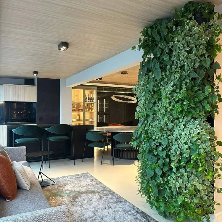 Parede verde em sala com sofá, tapete divida com cozinha