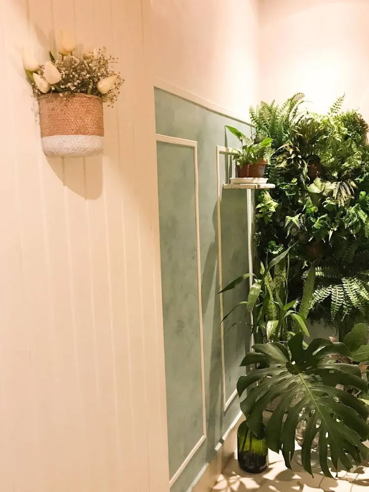 Mescla de Monstera com outras plantas ao fundo. À frente, uma parede em tons pêssego com um vaso de palha pendurado.  