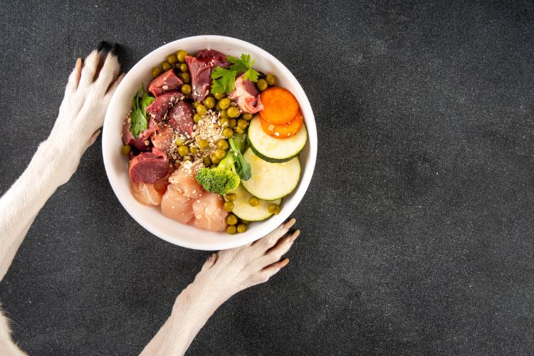 Tigela branca com alimentação natural para cães, contendo frango cru, fígado, ervilhas, brócolis, cenoura, abobrinha e salsinha sobre uma superfície preta. Duas patas de cachorro tocam a tigela, destacando a refeição saudável e balanceada preparada para pets.





