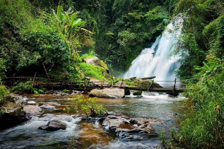 Paisagem de cachoeira na mata