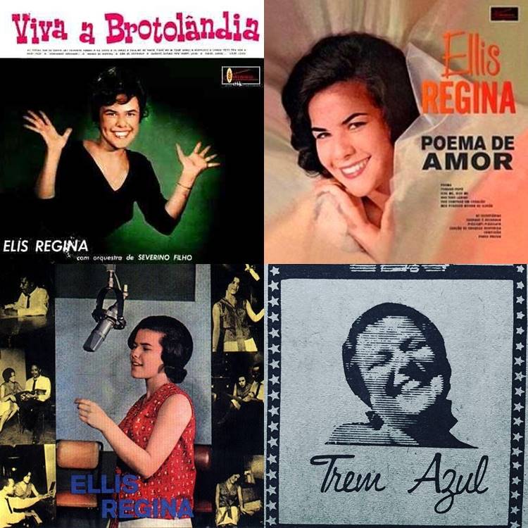 Foto de alguns discos da cantora.