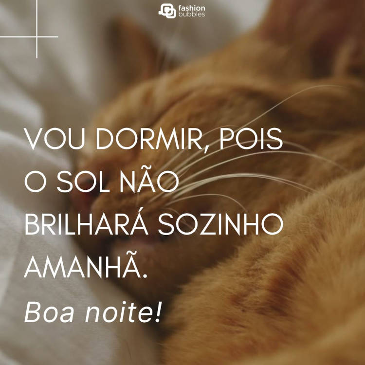 Foto de gato laranja dormindo e frase "Vou dormir, pois o sol não brilhará sozinho amanhã. Boa noite!"